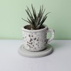 Skylarlife Absorbent Diatomite Coaster for Drinks and Plants Fast Water
