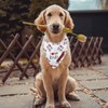 Realeaf Fathers Day Dog Bandanas 2 Pack, Reversible I Love