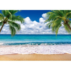 SJOLOON Summer sea Backdrop Tropical Beach Plants Photo Backdrop Hawaiian Ocean Blue Sky Background for Theme Party Supplies Studio Props 12692(7x5FT)