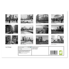 Icy Chicago (Monthly Wall Calendar 2025 11.7" x 16.5" (open)), CALVENDO 14 Month Calendar