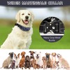 Duckygoo No Pull Dog Training Collar - Adjustable Martingale Slip