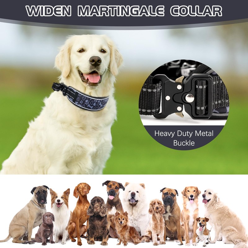Duckygoo No Pull Dog Training Collar - Adjustable Martingale Slip