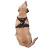 Floral No Pull Dog Harness Adjustable Soft Padded Pet Vest