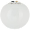 Hasami ware Cat Wave Bowl Set of 3 40865 