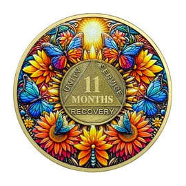 11 Month Sobriety Coin Gifts | Sun and Boat Butterfly AA Coin - HA AA Chip Medallion with Serenity Prayer | Narcotics Alcoholics Anonymous Gifts for Anniversary Month & Year for Men Women in Recovery