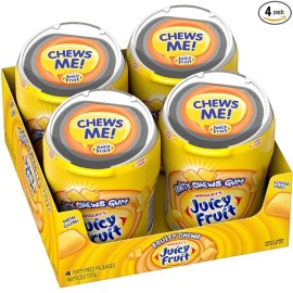Juicy Fruit Gum 4 Pack Original Bubble Gum Chewing Gum Bulk Pack 40 piece Bottle