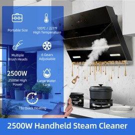 WOTAO 2500W High Pressure Steam Cleaner High Temperature Pressurized Steam Cleaning Machine 1100ml 3 Bar Portable Handheld Steam Cleaners with 3 Brush Heads for Home Use/Car Detailing, White