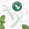 Plackers Micro Mint Dental Floss Picks with Travel Case 12
