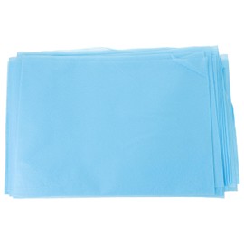 10pcs Facial Bed Cover Disposable Spa Bed Sheets Bed Cloth Wrinkle Resistant Sheets Spa Bed Cover 1 Spa Table Sheet Lash Bed Cover Spa Stretcher