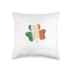Doyle last name family Ireland Irish house of shenanigans Throw