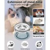 Upgrade Whisker-Fatigue-Free Cat Slow Feeder Bowl, Raised Cat Bowl Improved