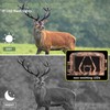 Trail Camera IP66 Waterproof 4K 60MP 0.2s Trigger 120° Wide