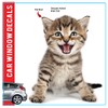 Cat Car Window Decals Funny 3D Weatherproof Decals (Striped Kitten)