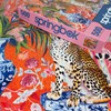 Springbok Cheetah and Ginger Jar 500 Piece Jigsaw Puzzle for