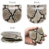 Berkut High Quality 1 Piece Leather with Center Back Snakeskin