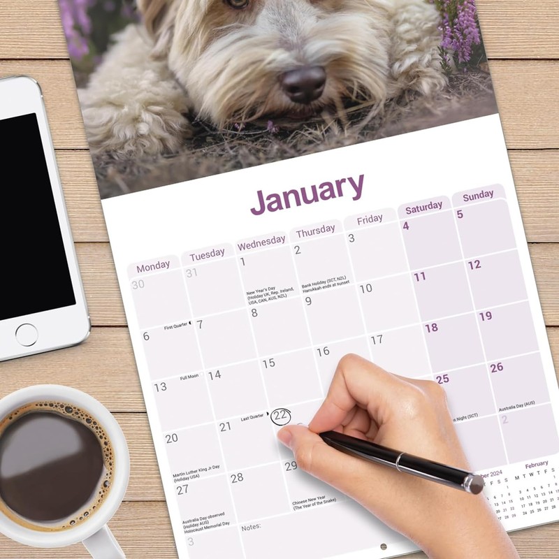 Tibetan Terrier Calendar 2025 | 12 months | with FREE