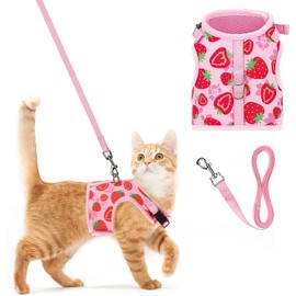 PUPTECK Soft Mesh Cat Vest Harness and Leash Set Puppy Padded Pet Harnesses Escape Proof for Cats Small Dogs Rabbits Bunny