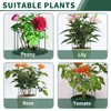 SYITCUN 4pack Peony Cages and Supports, 10 x 16 Inch