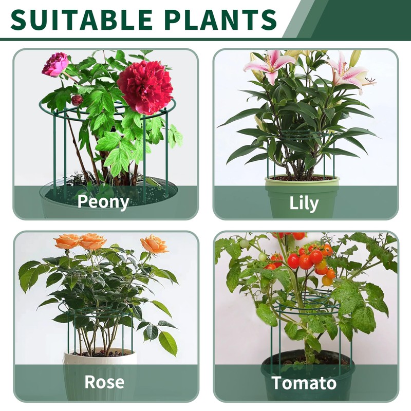 SYITCUN 4pack Peony Cages and Supports, 10 x 16 Inch