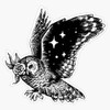 Night Owl Sticker Bumper Sticker Vinyl Decal 5"