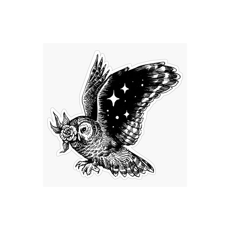 Night Owl Sticker Bumper Sticker Vinyl Decal 5"