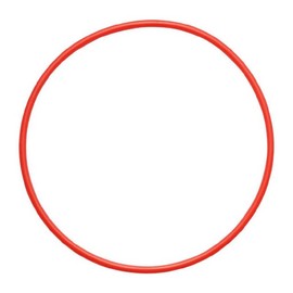 OM SYSTEM O RING 1 PC POL-058