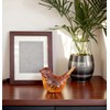 JWT Astyle Amber Bird Figurines - Living Home Decor Accent,