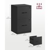 VASAGLE 2 Drawer File Cabinet, File Cabinet with Lock, Printer