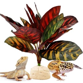 FLmoving Reptile Terrarium Decor Plants,Amphibian Habitat Decor,Artificial Plants for Tank Accessories (Calathea makoyana -B)