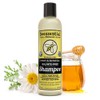 Beessential Botanical Sulfate Free Shampoo, Honey, 8 Ounce