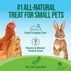 Small Pet Select - Pea Flakes, Treats for Rabbit Bunny,