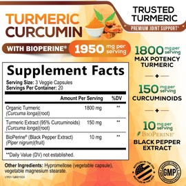 Turmeric Curcumin Supplement - 95% Curcuminoids with Organic Turmeric & BioPerine Black Pepper for Best Absorption - Daily Joint & Immune Health Support, Vegan, Non-GMO, Bottled in USA - 60 Capsules