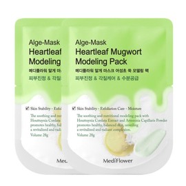 Diatomaceous Earth Disposable Modeling Pack Houttuynia Cordata Mugwort 28g 1+1 / 규조토 일회용 모델링팩 어성초 쑥 28g 1+1