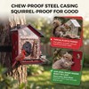 TT Nature Smart Bird Feeder with Camera, Heavy-Duty Chew-Proof Metal