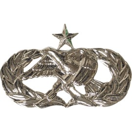 Air Force No Shine Senior Aircraft Munitions Maintenance Badge