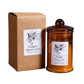 AIYoo Scented Candles Gifts for Women and Men,Natural Soy Aromatherapy Candles Gift for Mom,Home Scented Jar Candles Present Non Toxic Candles for Mother's Day,Birthday Gifts for Her,Eucalyptus