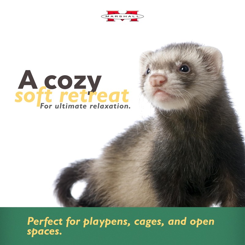 Marshall Pet Turtle Tunnel