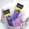John Frieda Violet Crush Purple Shampoo, Shampoo for Brassy Blonde