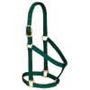 Weaver Leather Basic Non-Adjustable Nylon Horse Halter, Hunter Green, 1"