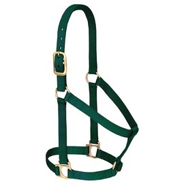 Weaver Leather Basic Non-Adjustable Nylon Horse Halter, Hunter Green, 1" Small Horse