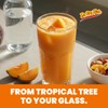 De Mi Pais Mamey Sapote Juice Zapote with Real Pulp