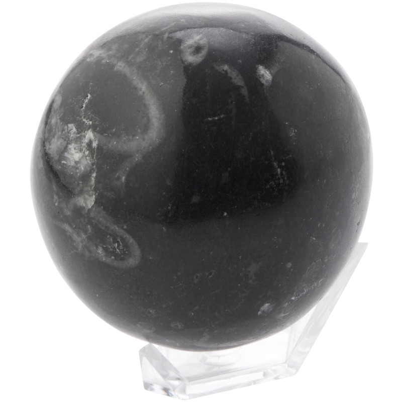 Plymor Clear Acrylic Display Stand Holder for Geode, Mineral or