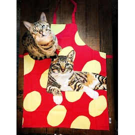 Tabby Cat Kitchen Apron by Leslie Gerry