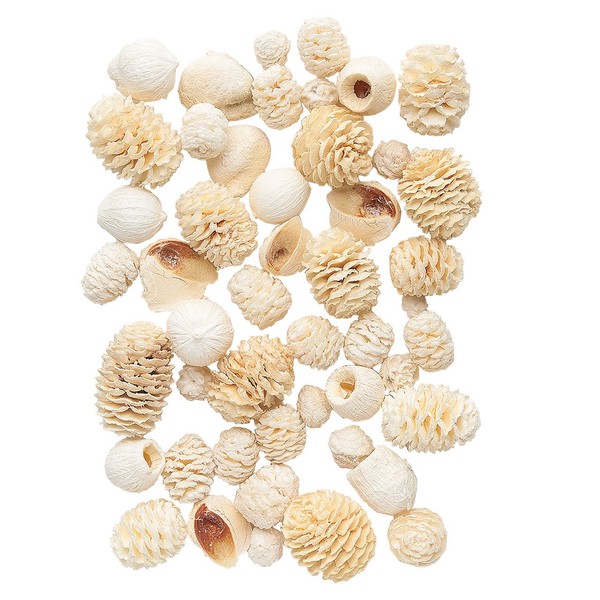 Daichi Farm DO024840-010 Dried Flowers, Mixed Nuts, Shiro, Approx. L