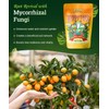 FoxFarm Happy Frog Citrus & Avocado Fertilizer – Formula for