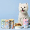 Fitpet It'sChu Lacto Five 4-Flavor Sampler Pack (4 pieces)