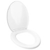 Clorox Elongated Scented Plastic Toilet Seat with Easy-Off Hinges -Tyler