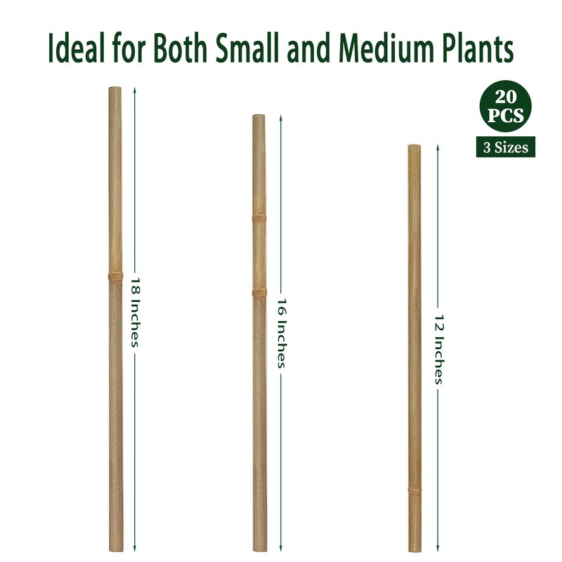 Plant Stakes,12 Inches Natural Garden Bamboo Sticks,BOVITRO 20Pcs Plant Support