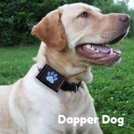 Dapper Dog Pet Tag Silencer and AirTag Holder - Ballistic Nylon (Black with Blue Paw Print)