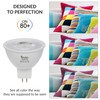 Simba Lighting LED MR16 3.5W 12V Light Bulb (6 Pack)